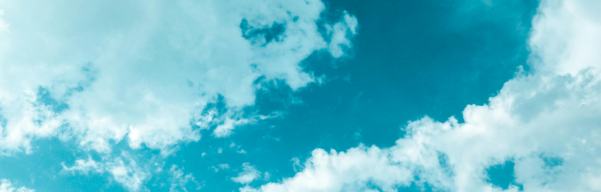 banner image